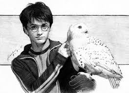 Study how other artists focus on certain facial. Harry Potter Hedwig Sketch All Drawing Drawing Pixoto