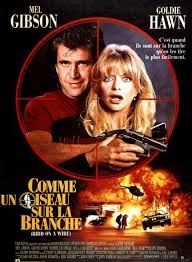 Bird On A Wire Movie Netflix Pin On Architects Book