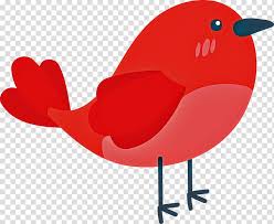 Feather Bird Cute Bird Cartoon Bird Birds Northern Cardinal European Robin Finches Transparent Background Png Clipart Hiclipart More about cardinal (references) for image gallery:minoraspatchworkart.deviantart… for quick ref:fav.me/d6ix65x for long ref: feather bird cute bird cartoon bird