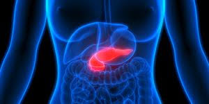 The cause of pancreatic cancer is unknown. Alex Trebek S Wife Jean Shares First Cancer Symptom She Saw In Him
