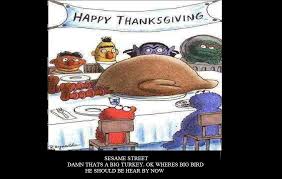 The turkey barely fit in my largest roasting pan. Wheres Big Bird