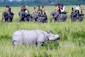 Image result for meghalaya images