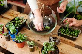 Terarium ini menggunakan wadah terbuka atau tidak menggunakan penutup wadah. Tips Membuat Terrarium Untuk Dekorasi Rumah Magiclean