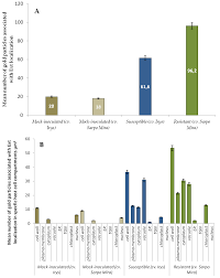We did not find results for: Https Pdfs Semanticscholar Org 3c54 862d9633553f5d6e6c394b501c273391df60 Pdf