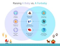 Venn Diagram Comparison Comparison Diagram Infographic Infographiccomparison Venn Infographic Templates Venn Diagram Template Infographic Comparison