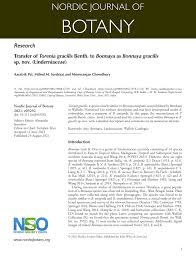 Image result for Linderniella gracilis