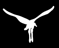 Se vorbeste insa in : G Schollkopf O Niel V Som 9 90 D Isbn Pdf Kostenfreier Download