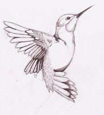 Deer are commonly seen in places where there are forests and. 67 Sketching Birds Ideas Bird Drawings Bird Art Animal Drawings