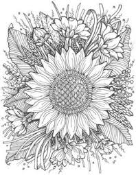 Pin On Blumen Ausmalbilder