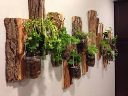 Indoor Herb Garden Krauterwand Zimmerkrauter Krautergarten Drinnen