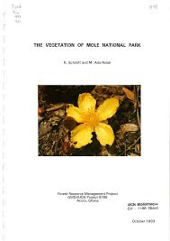 Image result for Pandiaka welwitschii