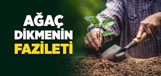 Ağaç dikmek bazen insana çok gereksiz gelebilir.ben dikmesem pek bir şey kaybetmezler herhalde.diyenler olabilmektedir.ağaç dikmek de bir koro misalidir.kimse ses çıkarmazsa koro da olmaz. Agac Dikmek Sadakadir Islam Ve Ihsan