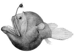 Check all the information and latest news about p. Double Angler Wikipedia