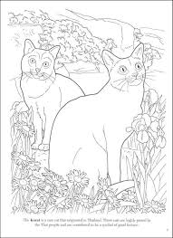 Marjorie sarnat portrays horses as symbols of beauty, romance, and freedom in images of breathtaking breeds with flowing manes, draped with garlands, running. The Korat Is A Short Haired Breed Of Domestic Cat The Korat S Unusual Color Is Cat Coloring Page Animal Coloring Pages Coloring Books