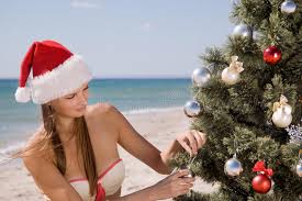 Over 15,499 christmas beach pictures to choose from, with no signup needed. 6 628 Beach Christmas Tree Photos Free Royalty Free Stock Photos From Dreamstime