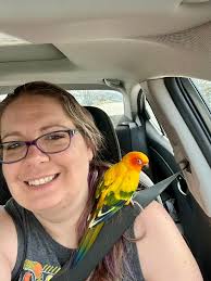 Sweet Girl Still Missing *** 😭 Heartbreak, Monita (Bugsy) .. decided to  dash out, in Roy Área, She's sweet, loves to land