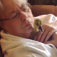 Low oxalate recipes for kidney stones diet