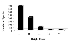 Image result for Scepocarpus hypselodendron