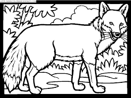 Meilleur Pour Dessin Renard A Colorier The Vegen Princess