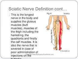 We did not find results for: How To Get Rid Of Pinched Sciatic Nerve Pain Get Relief From Sciati