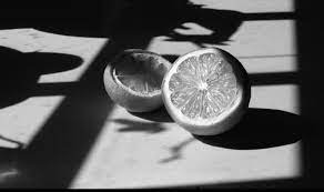 Soaking In The Sun Film Photography 35mm Light And Shadow Photography Black And White Film