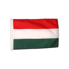 This is a list of flags used in hungary. Az Flag Hungary Flag 90 X 60 Cm Hungarian Flag 60 X 90 Cm Flags Top Quality Amazon De Garten