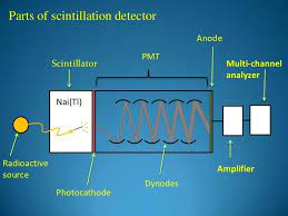 How a scintillation detetor mesures radioactivity. The Nuclear Scintillation Detector Can I Replace The Photomultiplier With Any Sensitive Semiconductor Photodiode Such Us Avalanche Photodiode Etc