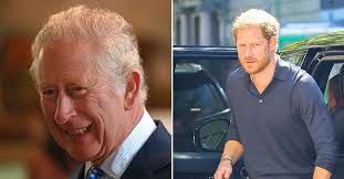 King Charles Laughs Off Royals Fan ...
