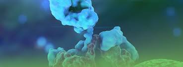 This is a profile preview from the pitchbook platform. Homepage Oncoresponse
