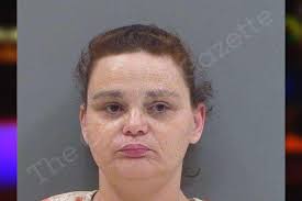 Brandi Ford — Rabun County Jail Bookings