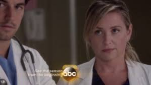 Grey's Anatomy by Douglas Lenon