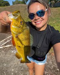 In Journey, Party Crasher II, I caught a Poka Dotted Boxfish yesterday. My  pop up window read 1 of 2. I caught the 2nd one today. Expecting to see the  Go to