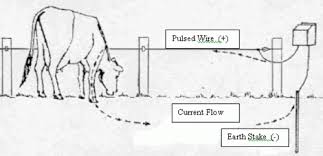 Faults in electric fences are very difficult to locate because the average live fence holds kilometers of wires. Electric Fencing For Dummies Features Horsetalk Co Nz
