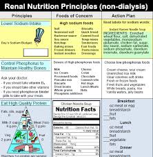 Renal Nutrition Principles Non Dialysis Kidney Diet Renal Diet Recipes Renal Diet