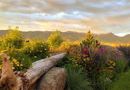 Best price guarantee · read real guest reviews · no booking fees Ross Creek Cabins