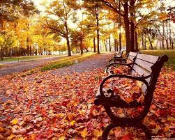 Free Fall Wallpaper Beautiful Nature Wallpaper Fall Wallpaper