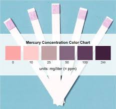 mercury test strips that you can use at home