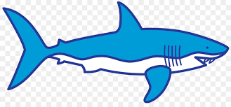 Como dibujar un tiburon facil. Tiburon El Aleteo De Los Tiburones La Aleta Dorsal Imagen Png Imagen Transparente Descarga Gratuita