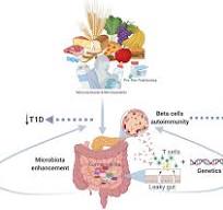 Frontiers | Early Nutrition and Risk of Type 1 Diabetes: The ...