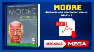 Libro posiciones radiologicas bontrager pdf gratis. Bontrager Posiciones Radiologicas Y Correlacion Anatomica Pdf Coolcfiles