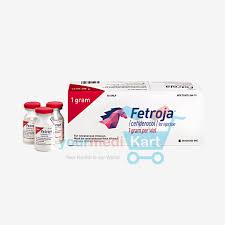 Image result for Cefiderocol
