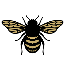 Download Realistic Bee Svg File Svg Designs Svgdesigns Com