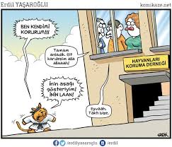 Erdil Yaşaroğlu ile ilgili görsel sonucu