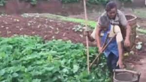Petani di daerah tersebut mengaku kesulitan mencari anak muda yang mau bekerja di bidang jumlah 4 juta jelas sangat kecil dibanding seluruh penduduk indonesia yang berjumlah sekitar 264. Isteri Kurang Upaya Duduk Dalam Bakul Jadi Mata Untuk Suami Buta Cari Rezeki Era