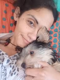 Hi Yorkie lowers! Question: Why some Yorkies have ears stearing up and some  dangling down?