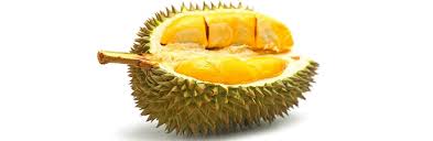 We are supporting new local. Tropical Fruits Of Indonesia Durian The King Of Fruits Indonesia Investments