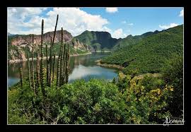 San pedro de la cueva postal address. San Pedro De La Cueva Sonora Mexico El Novillo Dam On The Yaqui River Mexico Sonora Ciudades