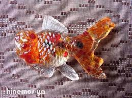 涼しげな金魚の帯留め らんちゅう 金魚 魚アート 帯留め