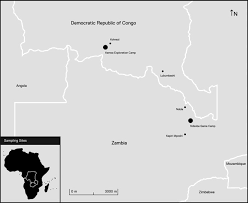 Image result for Polystachya bruechertiae