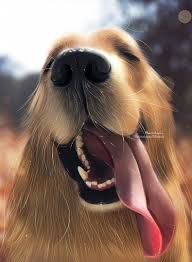 Golden Retriever , me , digital , 2019 : rArt